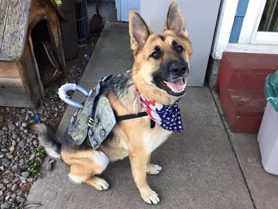 fallout 4 dogmeat cosplay