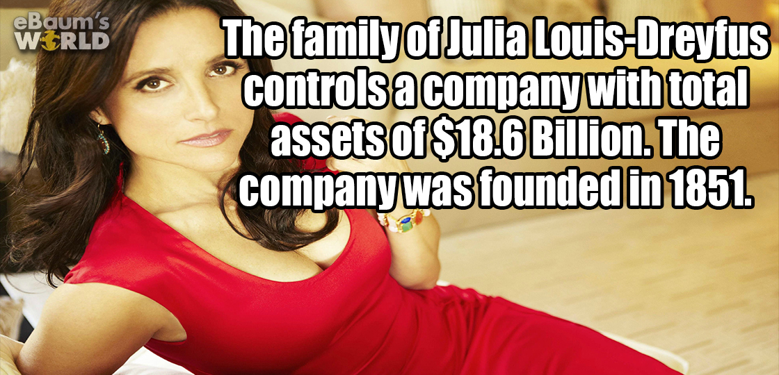 cat - eBaum's World The family of Julia LouisDreyfus controls a company with total assets of $18.6 Billion. The company was founded in 1851.