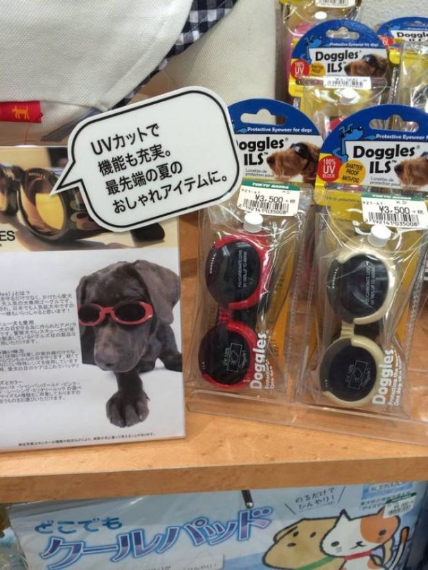 Sunglasses for dogs. This invention seems strange at first, but then you realize dogs may not like bright sunlight, just like us.