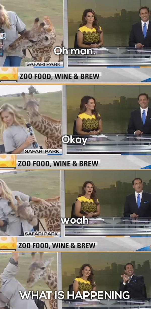 19 Times The News Were Actually Entertaining