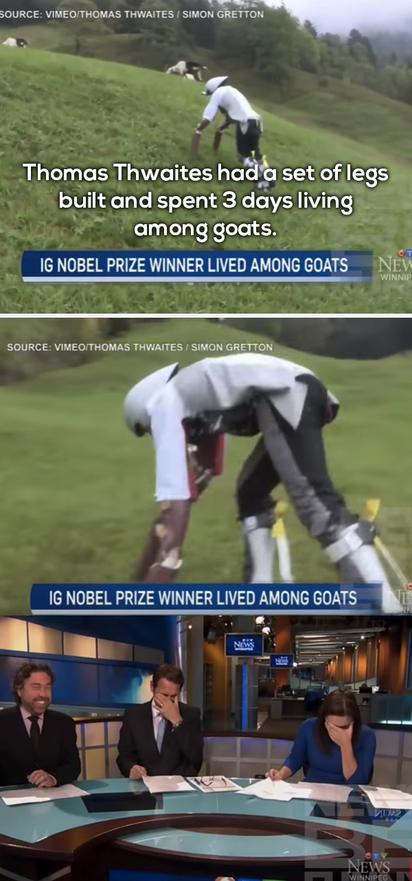 19 Times The News Were Actually Entertaining