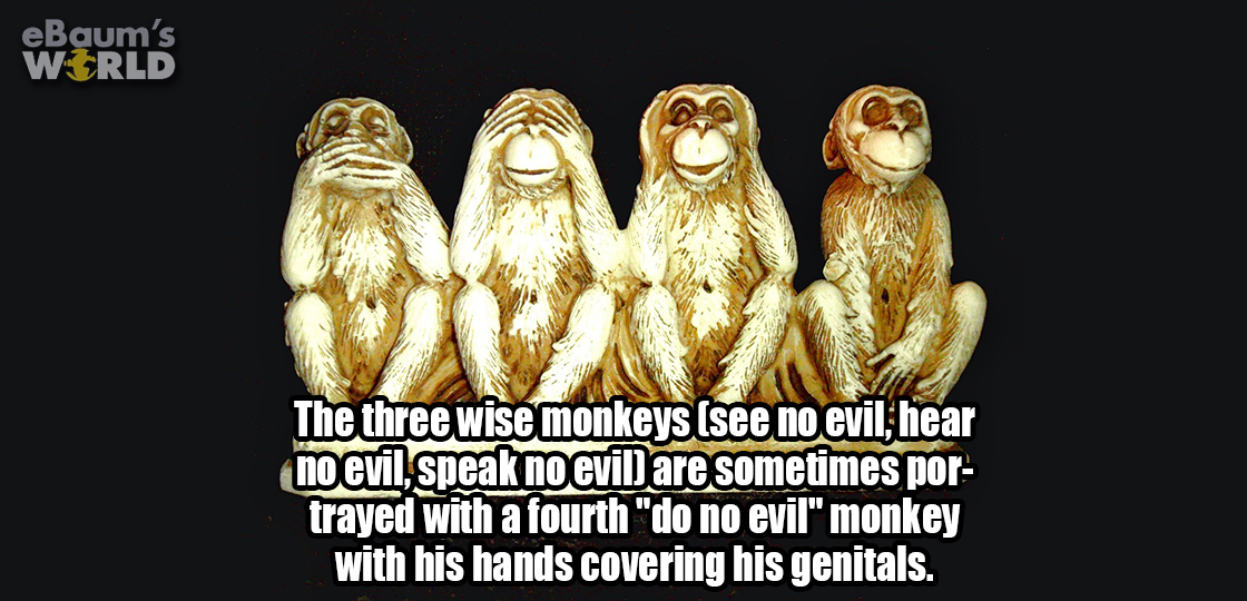 ebaumsworld - eBaum's World The three wise monkeys see no evil, hear no evil, speak no eviljare sometimes por trayed with a fourth "do no evil" monkey with his hands covering his genitals.
