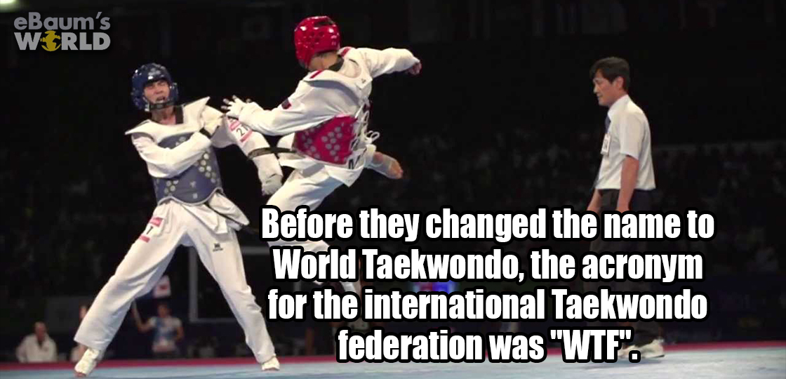 kandersteg international scout centre - eBaum's World Before they changed the name to World Taekwondo, the acronym for the international Taekwondo federation was "Wif".