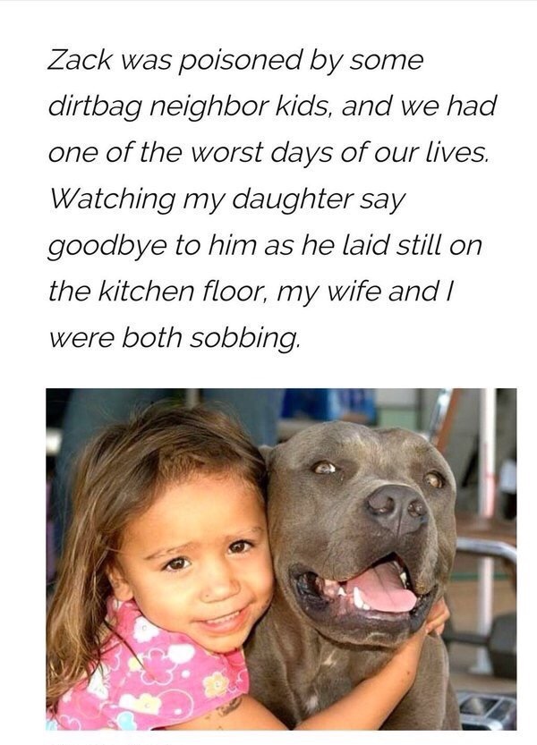 Dog-haters Costed A Little Girl Her Best Friend