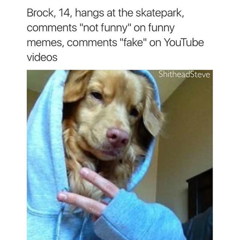Dog in hoodie giving sideways peace sign is Brock, 14 who says NOT FUNNy on funny memes and says FAKE on youtube videos