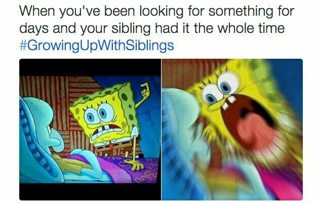 29 Memes About Siblings You Just Can't Deny