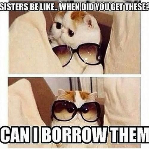 29 Memes About Siblings You Just Can't Deny