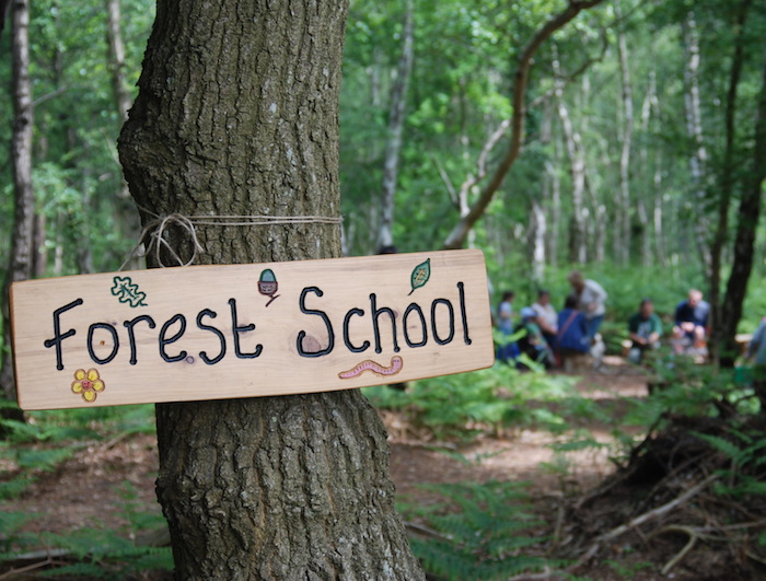 Associated with Germany Forest Schools have since spread like roots to other countries. The simple answer to what it is- it's learning in a forest. The longer answers involves teaching about surrounding trees and animals, building a bond with nature etc.