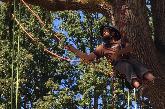 Tree climbing school. You would be surprised how many people forget how to climb trees once they stop being kids. The popularity of Tree Climbing Planet in Oregon is proof enough.