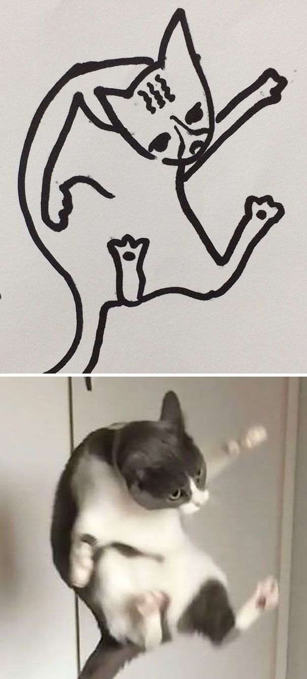 CATURDAY SPECIAL- The Famous Cats Of The Web Poorly Drawn