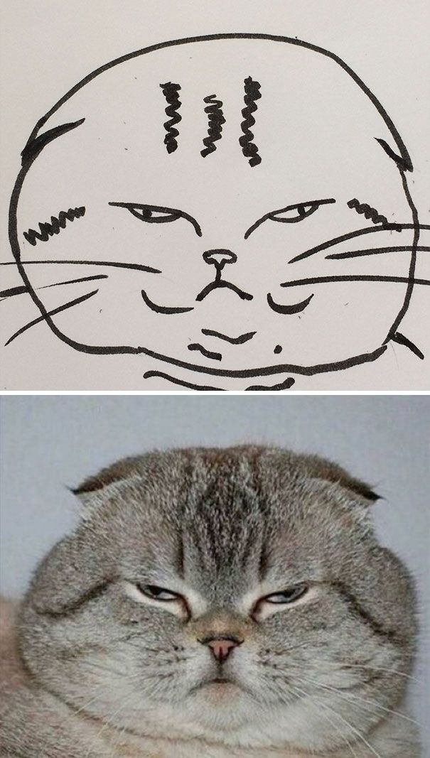 CATURDAY SPECIAL- The Famous Cats Of The Web Poorly Drawn