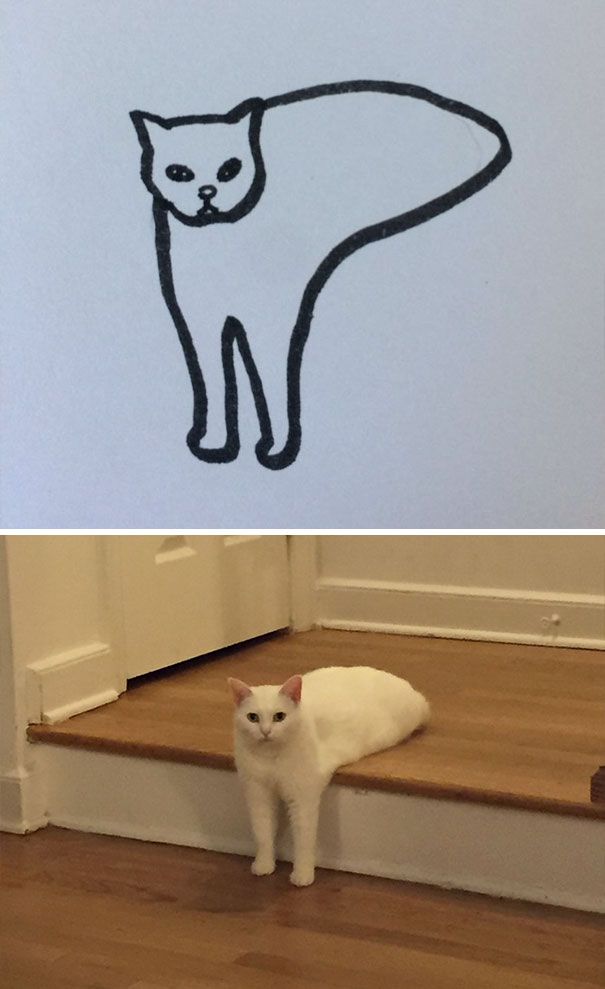 CATURDAY SPECIAL- The Famous Cats Of The Web Poorly Drawn