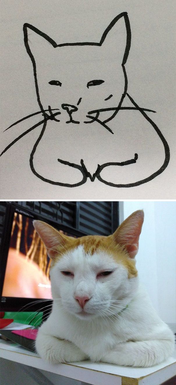 CATURDAY SPECIAL- The Famous Cats Of The Web Poorly Drawn