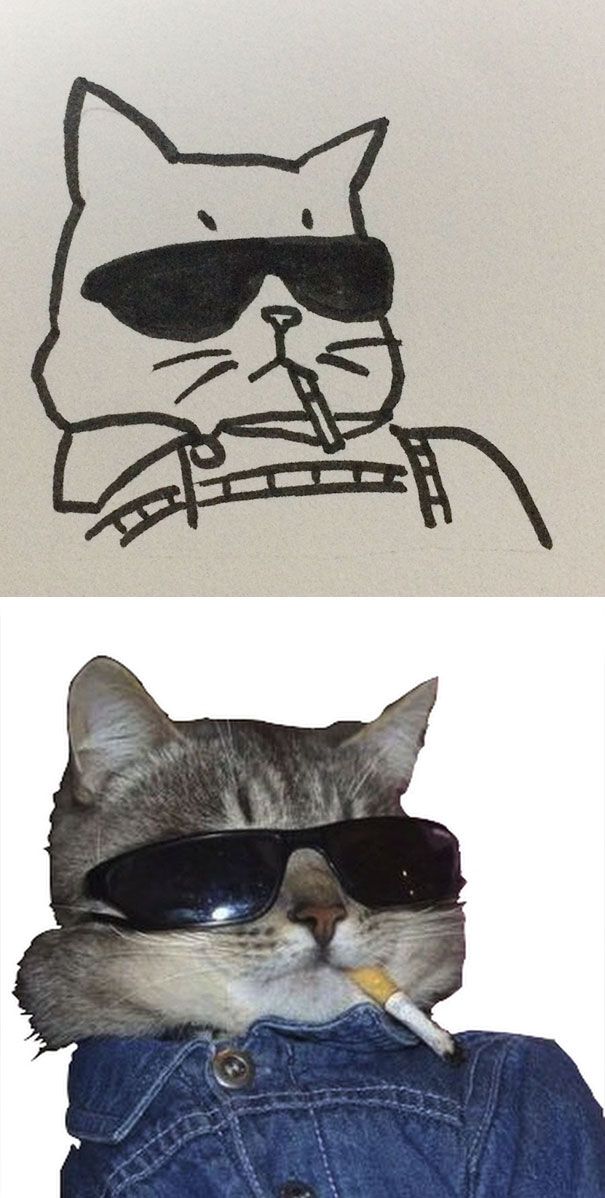 CATURDAY SPECIAL- The Famous Cats Of The Web Poorly Drawn