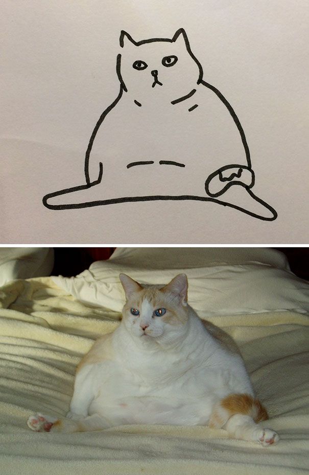 CATURDAY SPECIAL- The Famous Cats Of The Web Poorly Drawn