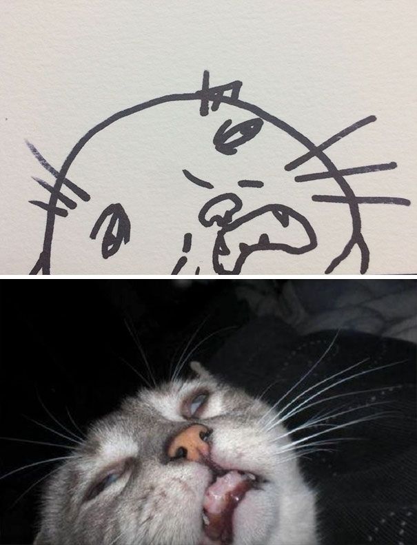 CATURDAY SPECIAL- The Famous Cats Of The Web Poorly Drawn