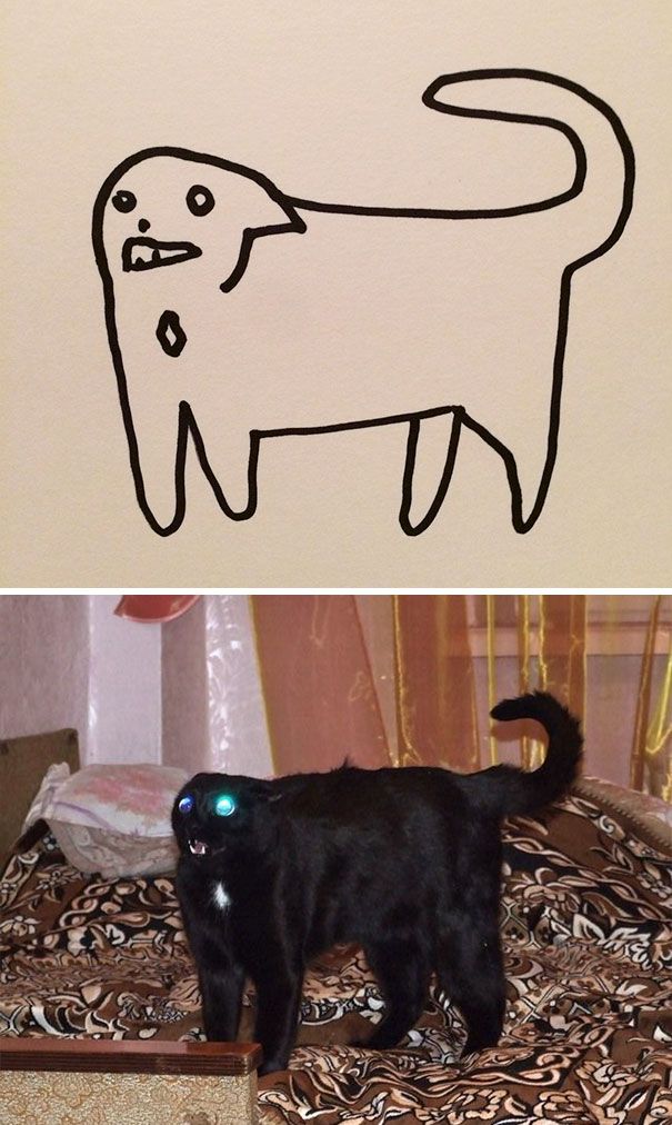 CATURDAY SPECIAL- The Famous Cats Of The Web Poorly Drawn