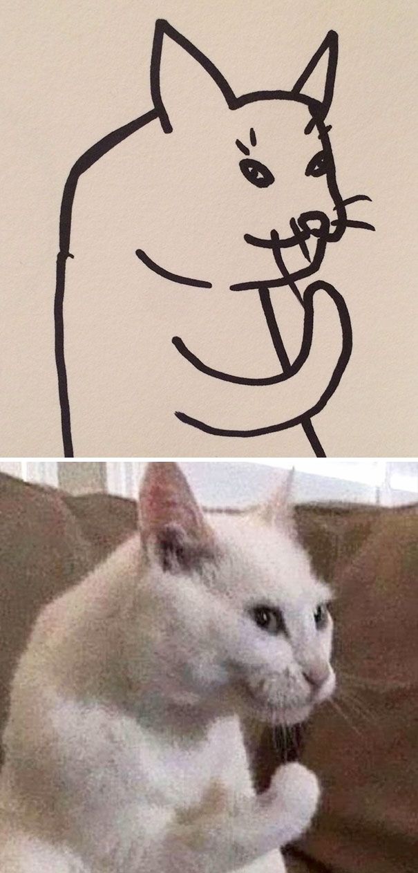 CATURDAY SPECIAL- The Famous Cats Of The Web Poorly Drawn