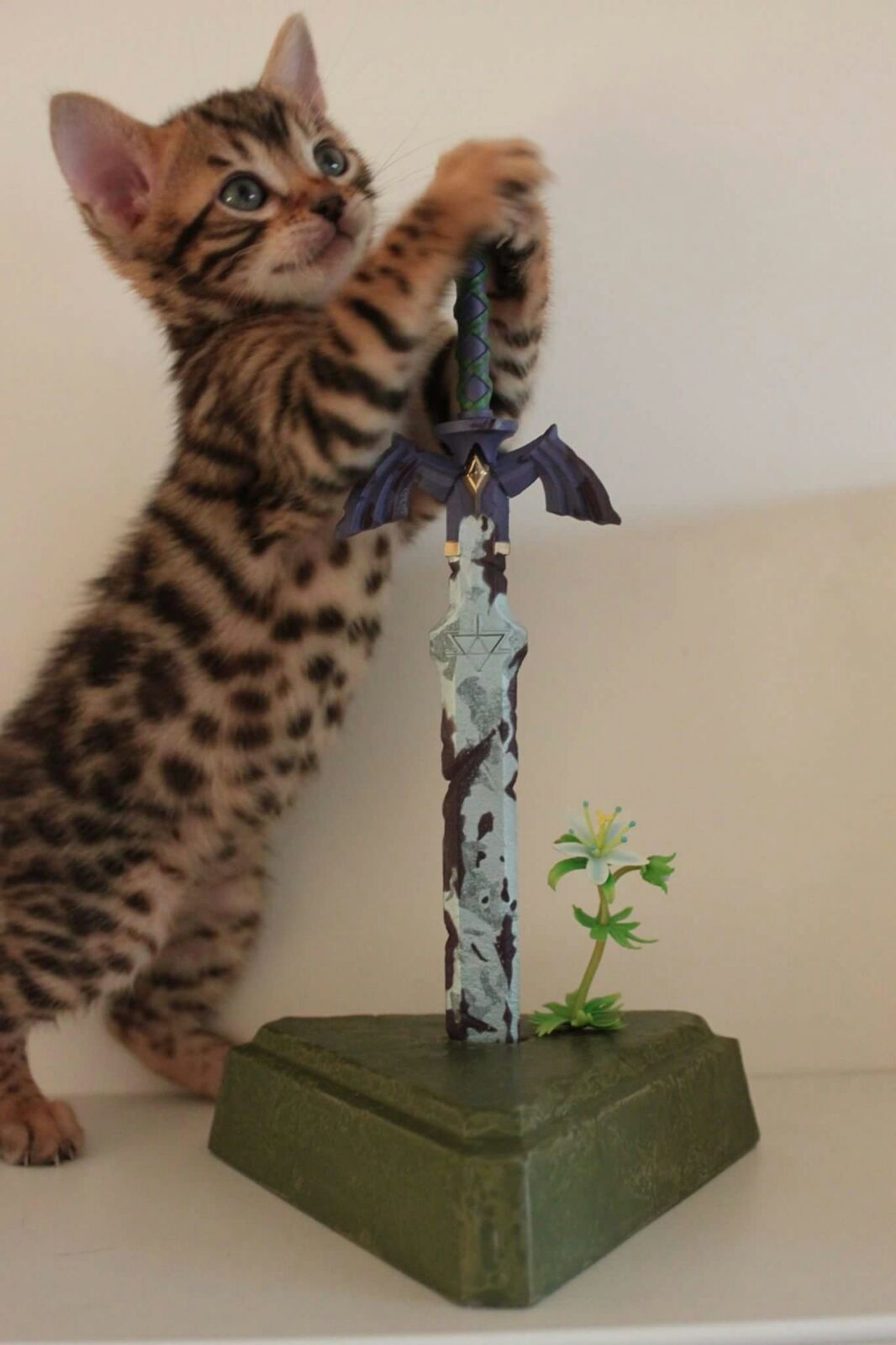 kitten with sword