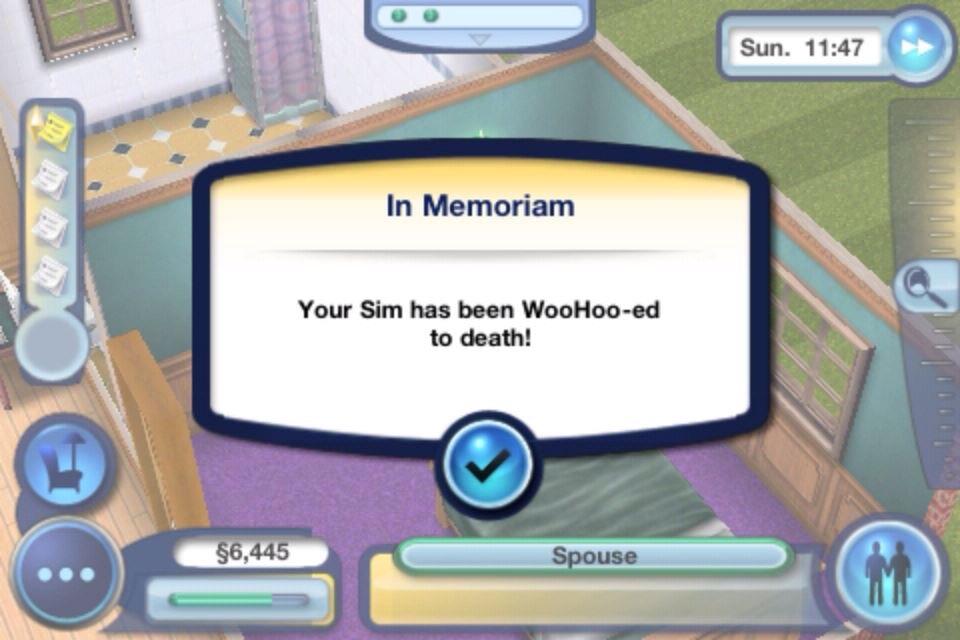 sims woohoo meme - Sun. In Memoriam Your Sim has been WooHooed to death! $6,445 Spouse
