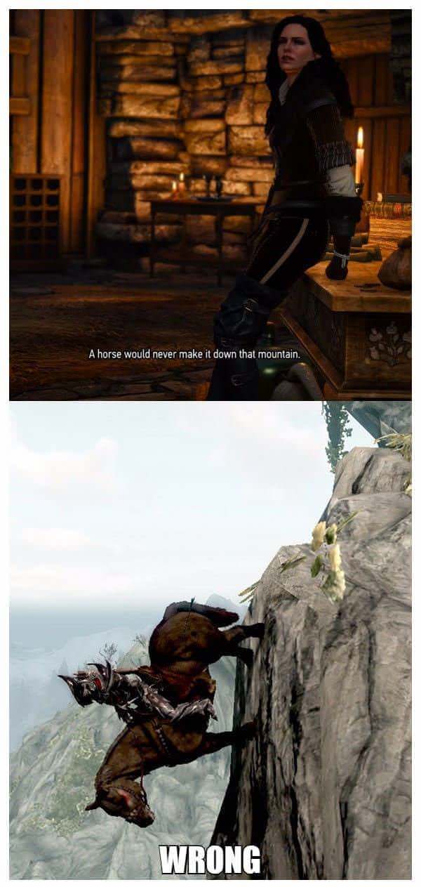 gaming skyrim weight meme - A horse would never make it down that mountain. Wrong