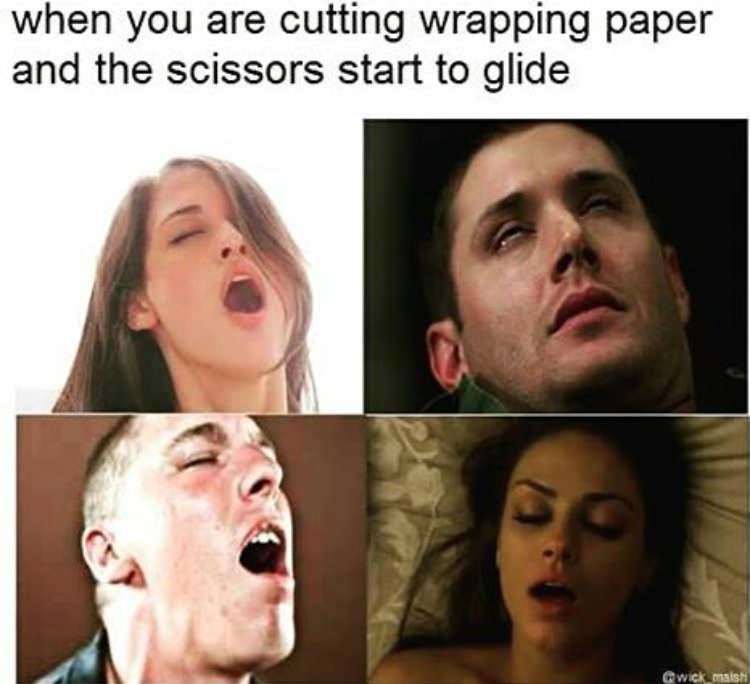 porn memes - when you are cutting wrapping paper and the scissors start to glide Qwick_mais