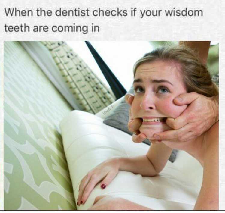 dentist checks if your wisdom teeth are coming in - When the dentist checks if your wisdom teeth are coming in Uncle