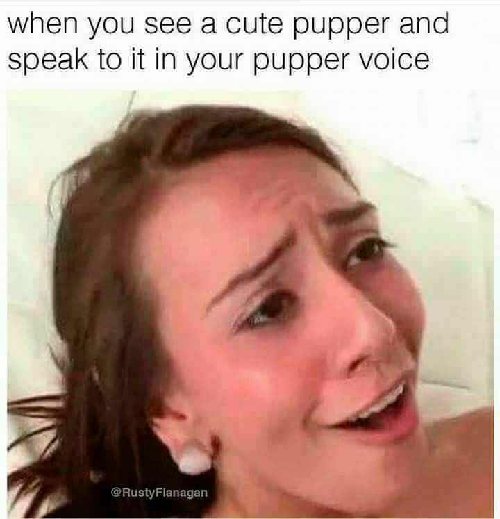 you see a cute pupper meme - when you see a cute pupper and speak to it in your pupper voice Flanagan