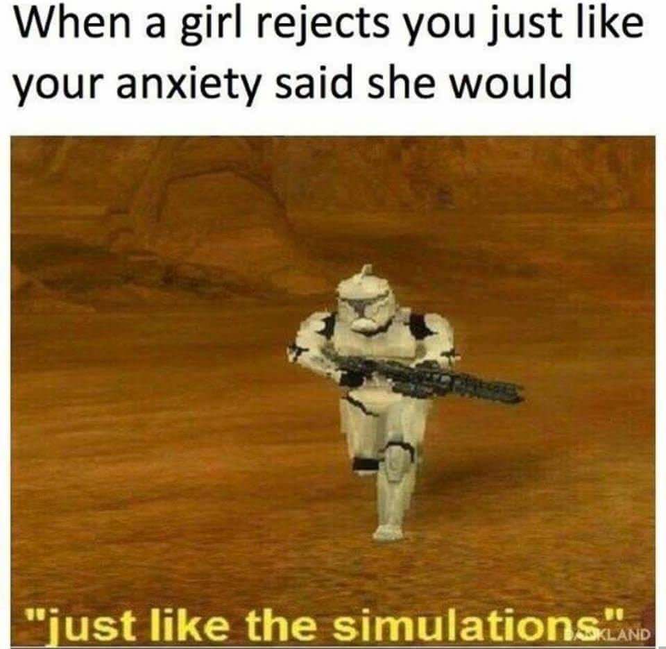 Meme about how girl rejected you just like your anxiety predicted in its simulation
