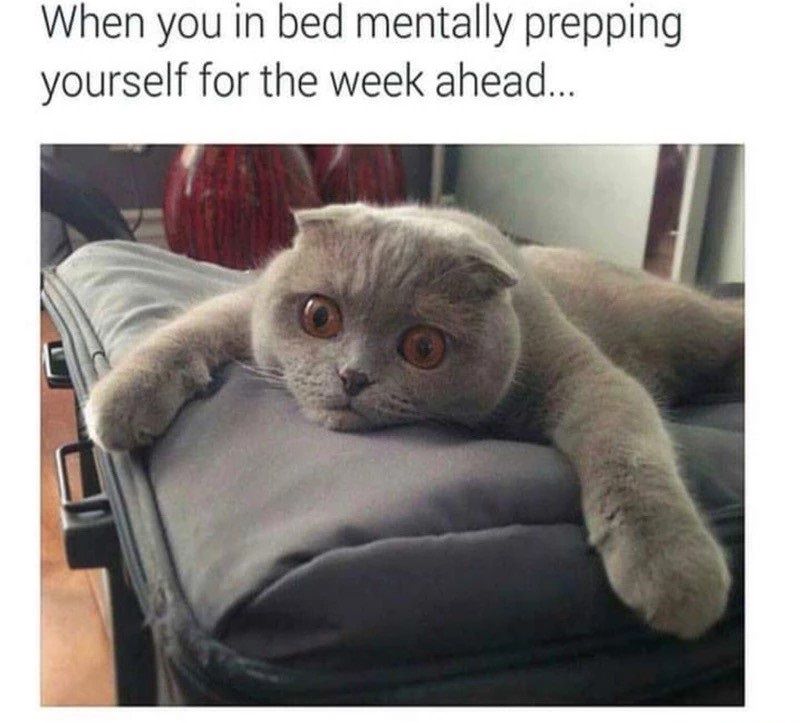 busy week ahead meme - When you in bed mentally prepping yourself for the week ahead...