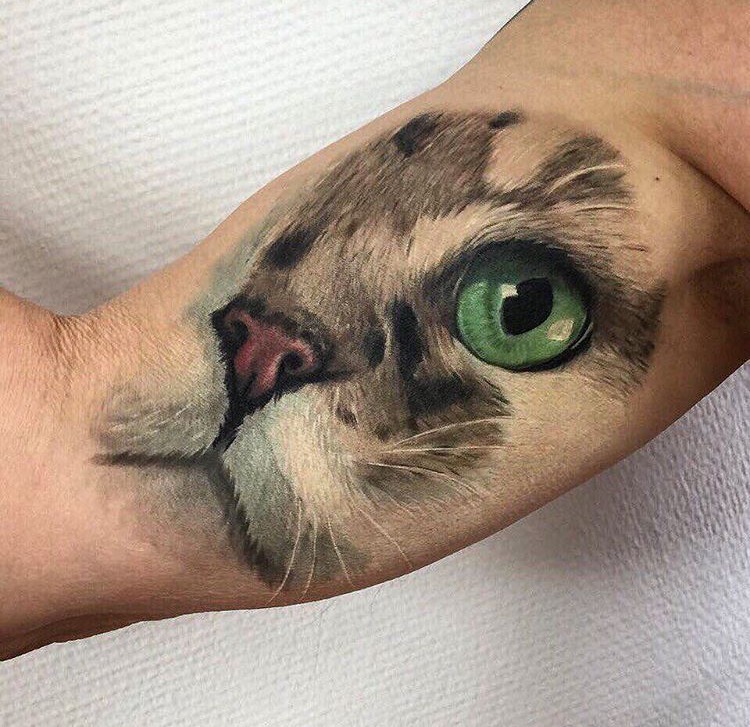 Cat face and eye tattoo on a bicep.