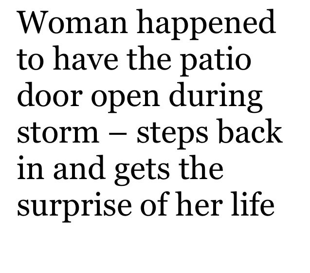 Woman Leaves The Door Open During A Storm Just To Find Unusual Guests In Her House