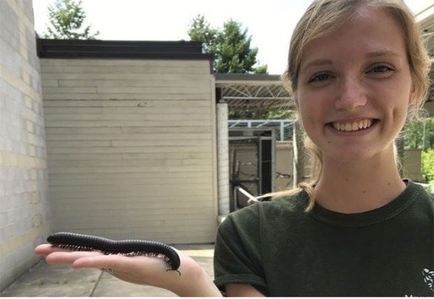 The zookeepers took photos of animals...