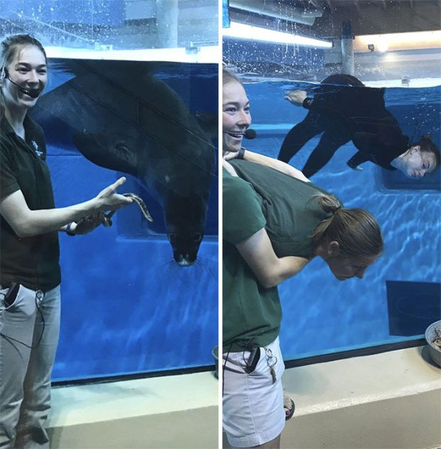 Zoo Keepers Have Fun And Recreate Photos Of Animals