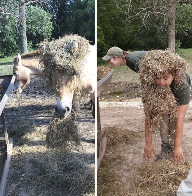 Zoo Keepers Have Fun And Recreate Photos Of Animals