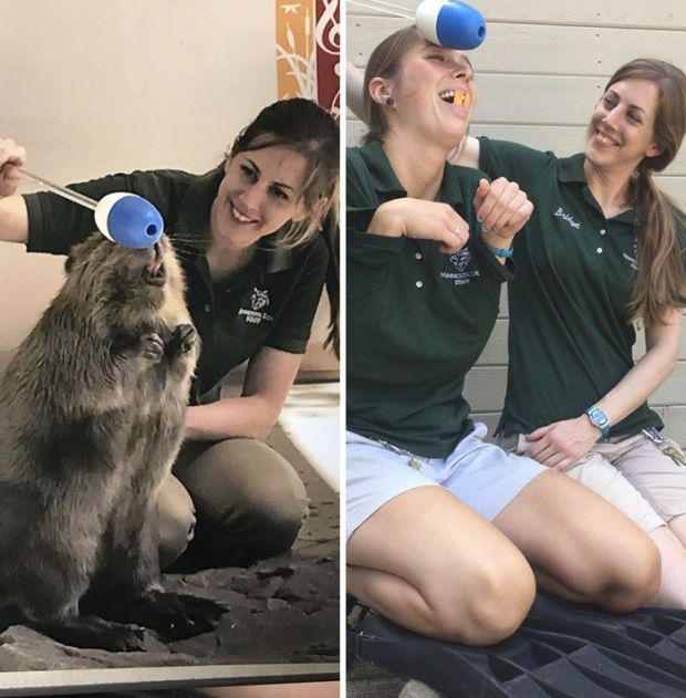 Zoo Keepers Have Fun And Recreate Photos Of Animals