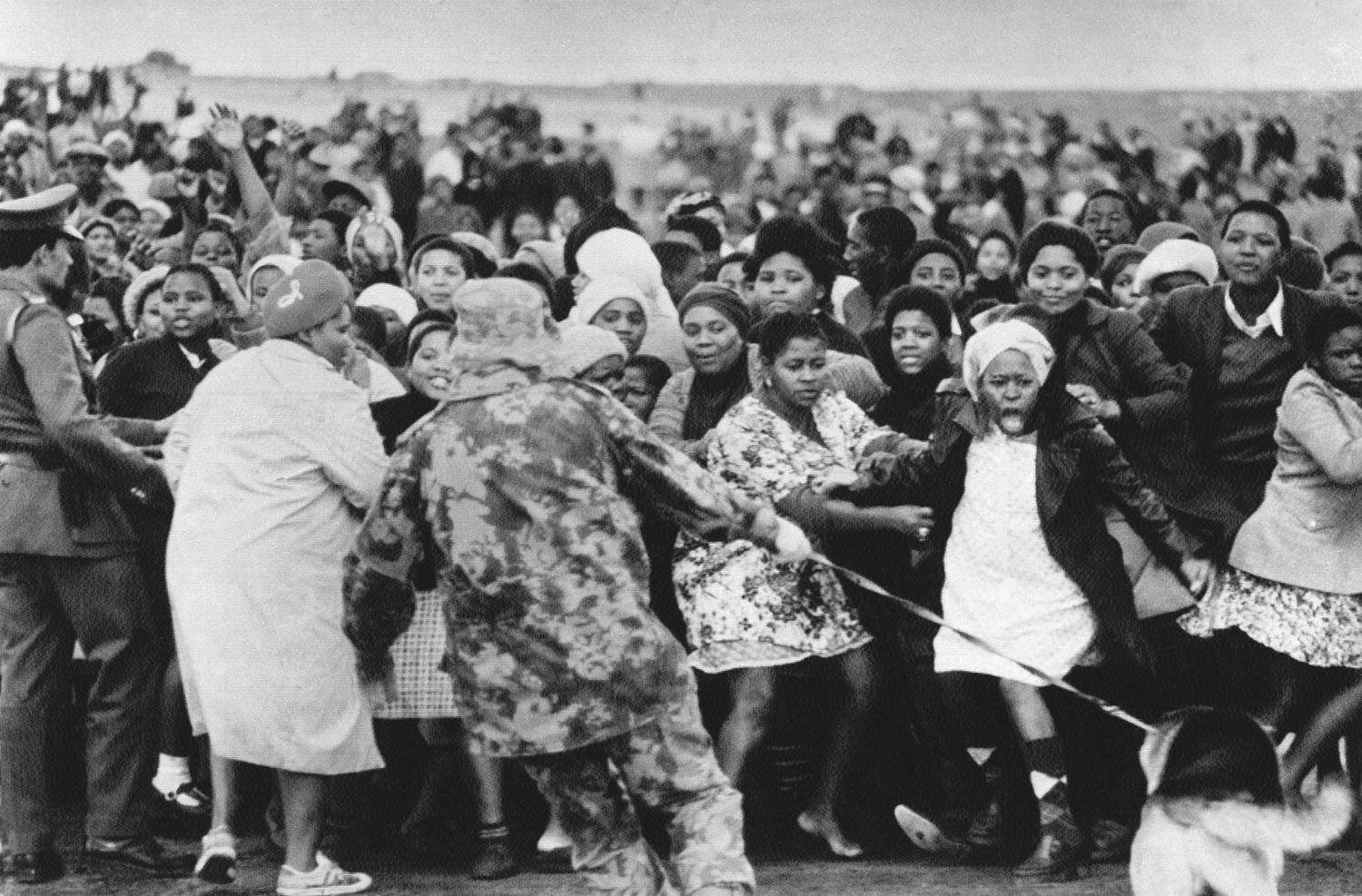 Military members starting to use attack dogs on a crowd in order to disperse them during the Riots in Cape Town, South Africa in 1976.