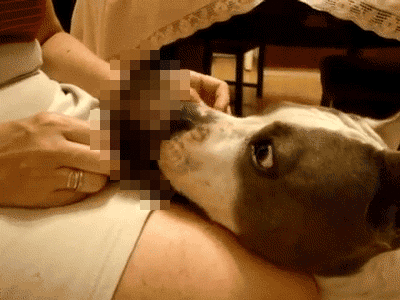 The Best Unnecessarily Censored Gifs For A Raunchy Fun