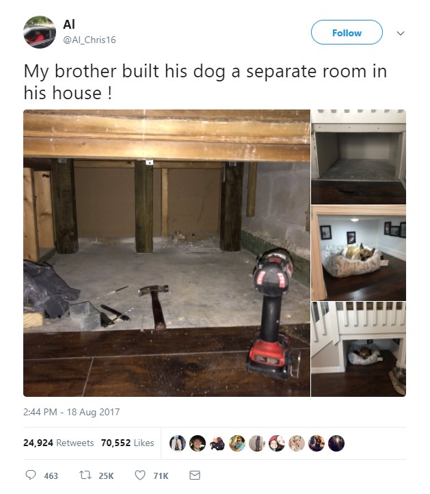 Tweet of someone who's brother made cute little room for his dog under the stairs.
