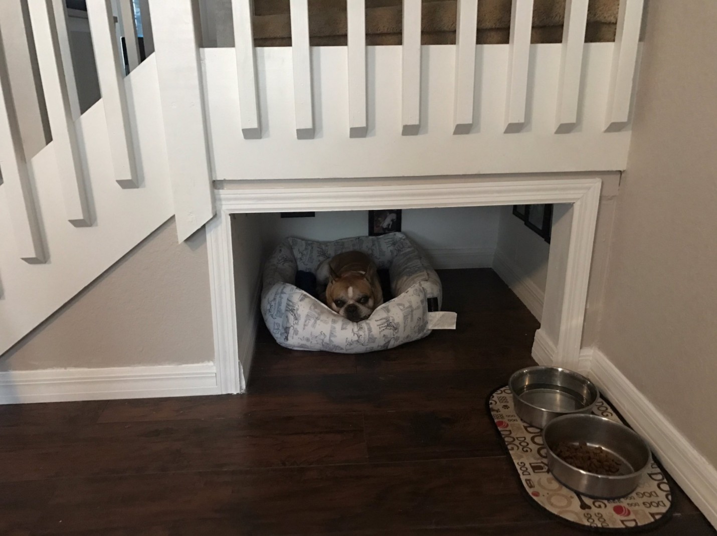 Dog room under the stairs.