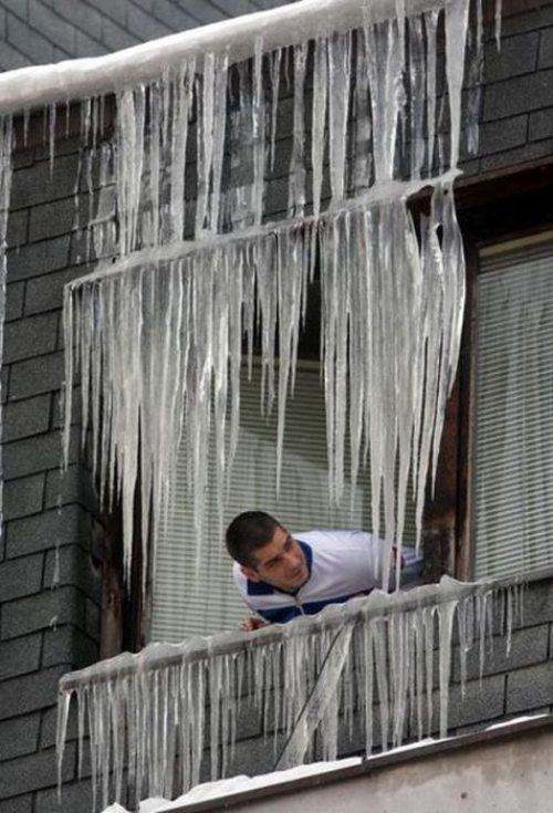 Man sticking his head out the window with tons of icicles above him.