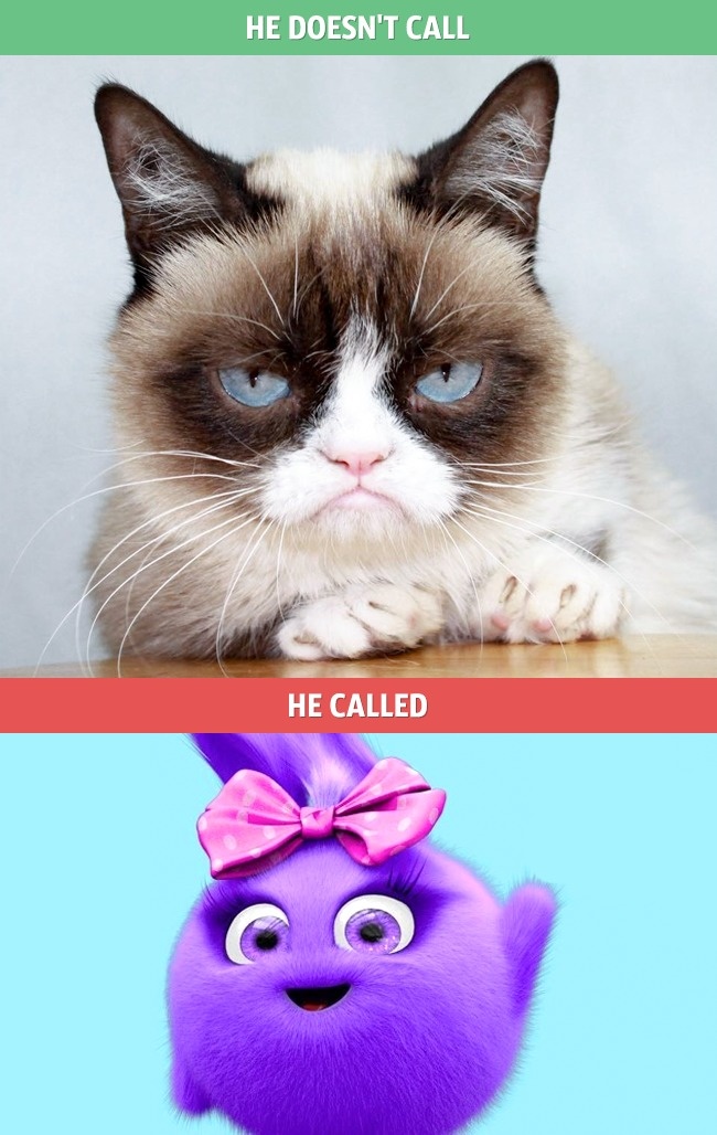 breed was grumpy cat - He Doesn'T Call He Called