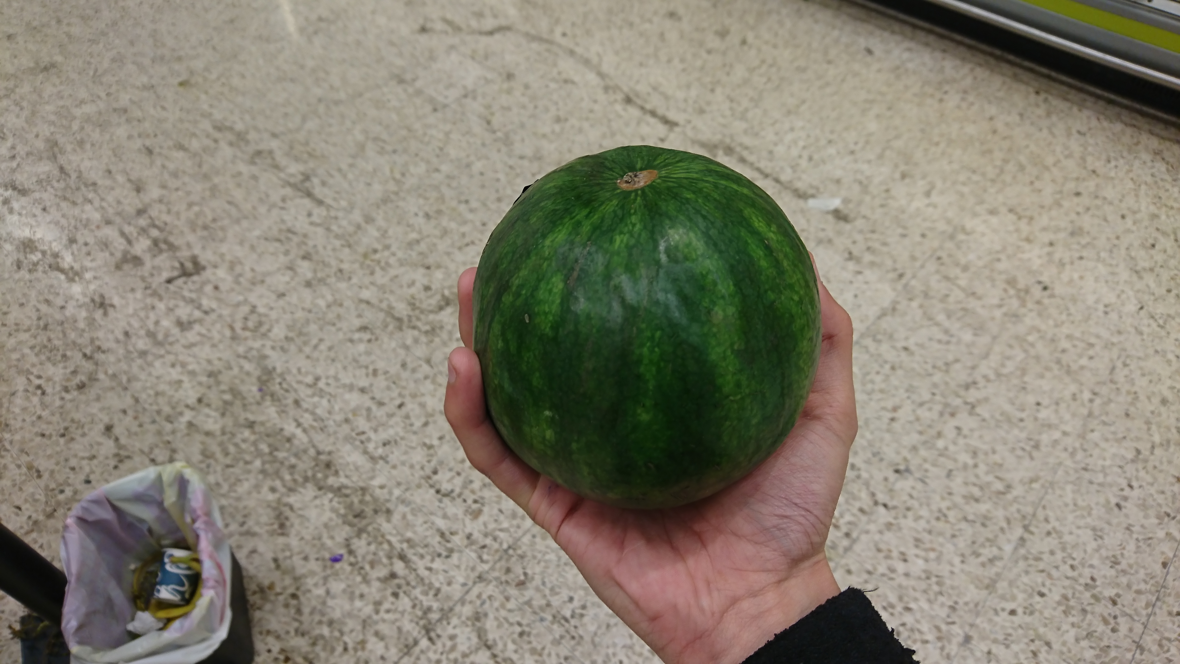 Some guy found this small watermelon at a supermarket and thought it was pretty neat, so he posted it online and "got a whooping 5 points!"