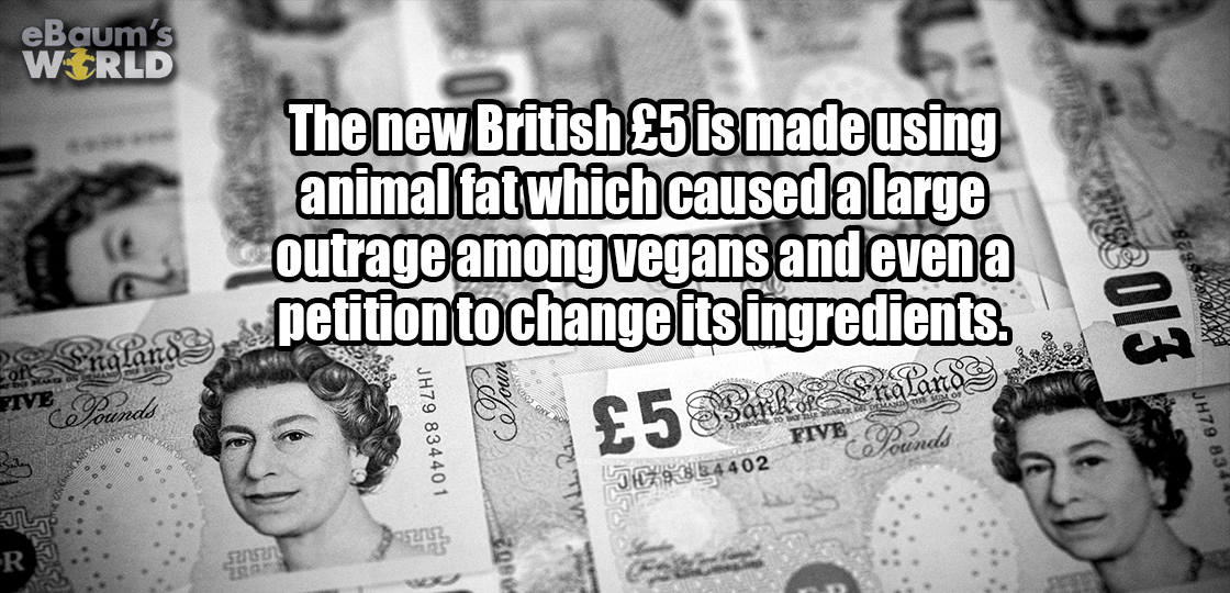 Fun fact about outrage in the new British 5 Pound note which caused outrage with vegans.