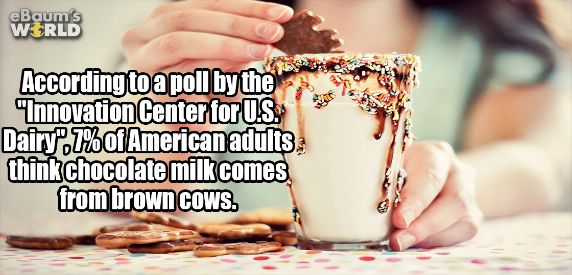 drink - eBaum's Wrld According to a poll by the "Innovation Center for U.S. Dairyp.7% of American adults think chocolate milk comes from brown Cows.