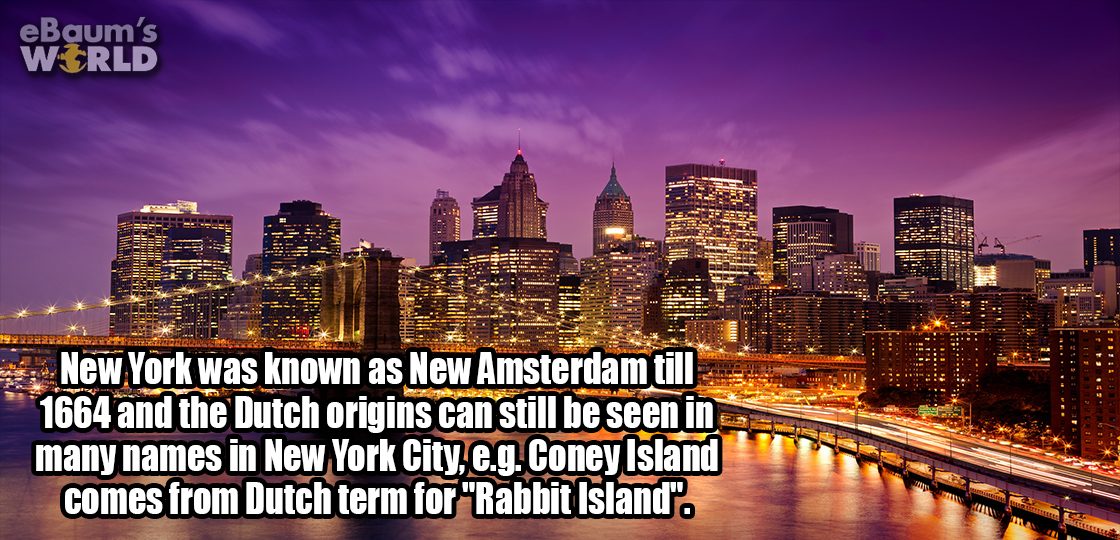 cityscape - eBaum's World New York was known as New Amsterdam till 1664 and the Dutch origins can still be seen in many names in New York City, e.g. Coney Island comes from Dutch term for "Rabbit Island".