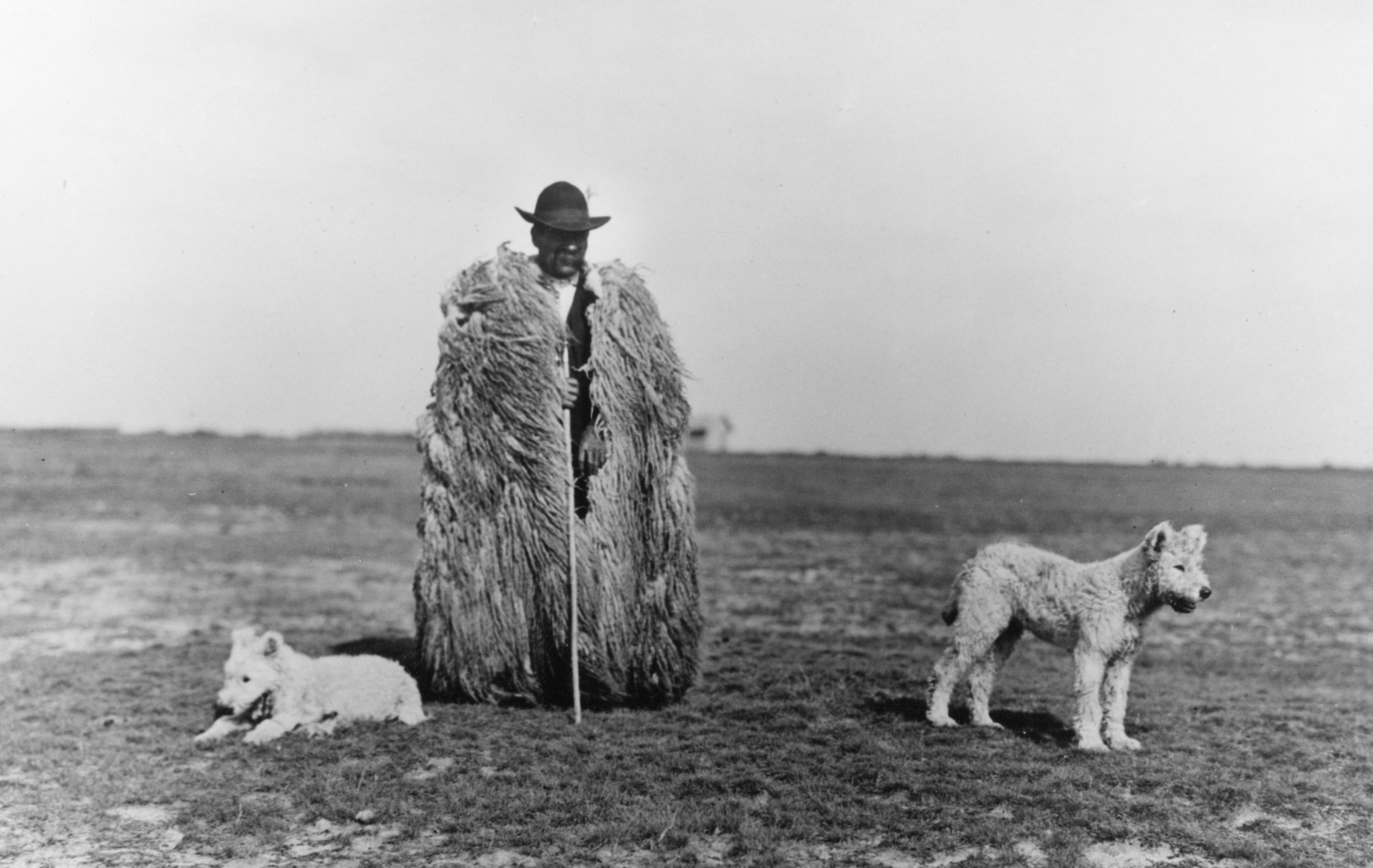 Shepherd Rudolf Balogh and his dogs pose for a picture in Hungary in 1930.