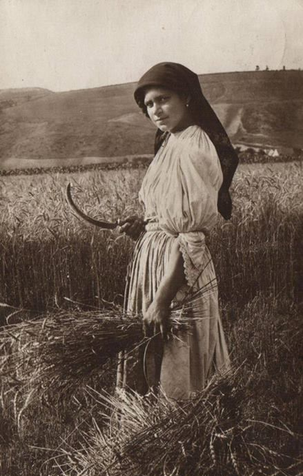 A women cuts crops in Romania in 1934.