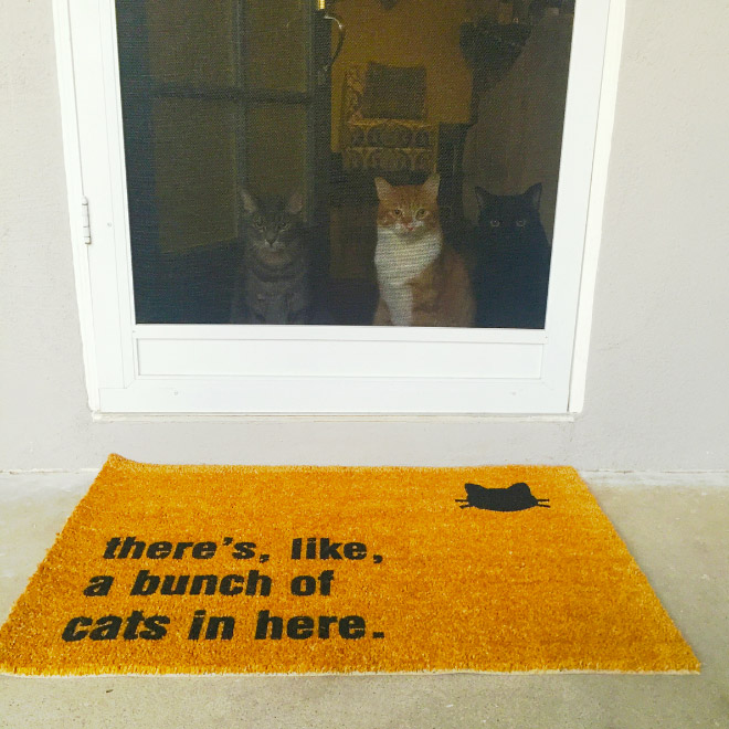 13 Creative Doormats That Say More Than Welcome