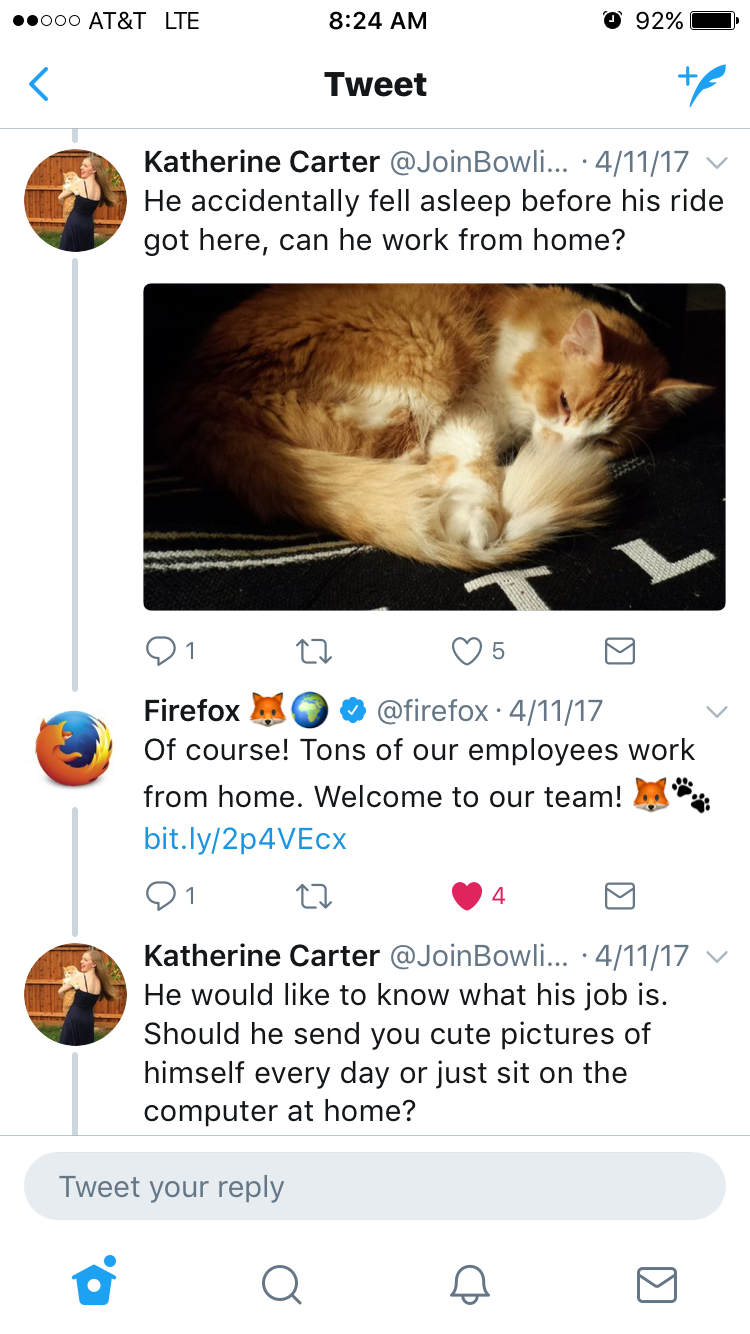 This Cat Is So Awesome He Got A Job At Firefox